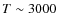 $T
\sim3000$