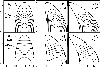 \begin{figure}
\includegraphics[width=8.8cm, clip=]{12645f5.eps}
\end{figure}