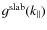 $g^{\rm slab} (k_{\parallel})$