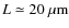 $L\simeq20~\mu{\rm m}$