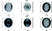 \begin{figure}
\par\includegraphics[width=15.3cm]{12413F05}\vspace*{1mm}
\includegraphics[width=15.3cm]{12413F06} \end{figure}