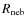 $R_{\rm neb}$