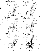 \begin{figure}
\par\includegraphics[width=11.5cm,clip]{12587f09.eps}
\end{figure}