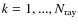 $k=1,..., N_{\rm ray}$
