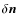 $\delta \vec{n}$