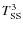 $T_{\rm SS}^3$