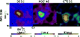 \begin{figure}
\par\includegraphics[width=400pt]{11099f9.ps}
\end{figure}