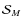 $\mathcal{S}_M$