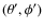 $(\theta',\phi')$