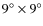 $9^\circ \times 9^\circ$