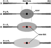 \begin{figure}
\par\includegraphics[width=8.8cm,clip]{13044fg1.eps}
\vspace*{-3mm}
\end{figure}