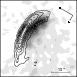 \begin{figure}
\par\includegraphics[width=16pc,clip]{11809fg6.eps}
\end{figure}