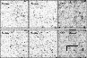 \begin{figure}
\par\includegraphics[width=8.5cm,clip]{12275fig7.eps}
\end{figure}