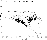 \begin{figure}
\par\includegraphics[width=8.5cm,clip]{figures/13016fg1.eps}
\end{figure}