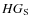 $HG_{\rm S}$