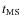 $t_{{\rm MS}}$