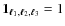 ${\mathbf 1}_{\vec{\ell}_1,\vec{\ell}_2,\vec{\ell}_3}=1$