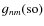 $g_{nm}({\rm so})$