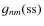 $g_{nm}({\rm ss})$