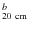$_{\rm 20~cm}^b$