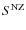 $S^{\rm NZ}$
