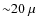${\sim}20~\mu$