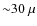 ${\sim}30~\mu$