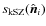 $s_{\rm kSZ}(\hat{{\vec {n}}}_i)$