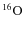 $^{16}{\rm O}$