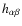 $h_{\alpha\beta}$