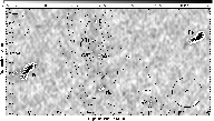 \begin{figure}
\par\includegraphics[width=17cm,clip]{12903fg4.ps}
\end{figure}