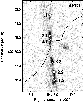 \begin{figure}
\par\includegraphics[width=7.5cm,angle=0,clip]{12903fg13.ps}
\end{figure}