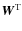 ${\vec W}^{\rm T}$