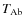 $T_{\rm Ab}$