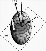 \begin{figure}
\par\includegraphics[width=8cm, angle=0]{12008fg1.ps}
\vspace*{4mm}
\end{figure}