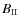 $B_{\rm II}$