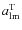 $a^{\rm T}_{\rm lm}$