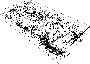 \begin{figure}
\par\includegraphics[width=8cm,clip]{12823fg8.eps}
\end{figure}