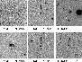 \begin{figure}
\par\includegraphics[width=8cm,clip]{13011f08.eps}
\end{figure}
