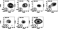 \begin{figure}
\par\includegraphics[width=17cm,clip]{13052f2.ps}
\end{figure}
