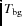 $T_{\rm bg}$