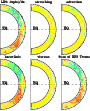 \begin{figure}
\par\includegraphics[width=8cm,clip]{13166f4.ps}
\end{figure}