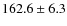 $162.6 \pm6.3$