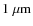 $1\;\mu{\rm m}$
