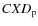 $CXD_{\rm p}$