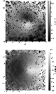 \begin{figure}
\par\includegraphics[width=7.2cm,clip]{13656f7a.eps}\par\vspace*{5mm}
\includegraphics[width=7.2cm,clip]{13656f7b.eps}
\end{figure}