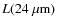 $L(24 ~\mu\rm {m})$