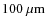 $100~\mu\rm {m}$