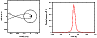 \begin{figure}
\begin{tabular}{cc}
\includegraphics[width=3.5cm,clip]{13442f1.ep...
...egraphics[width=4.5cm,clip]{13442f2.eps}\end{tabular}
\vspace*{4mm}
\end{figure}