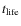 $t_{\rm life}$